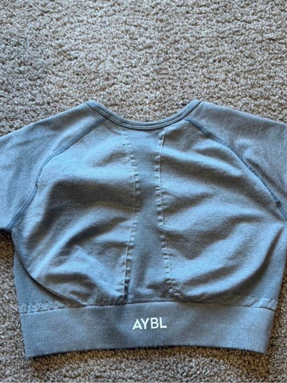 AYBL Gray Cropped Athletic Top